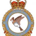 425th squadron rcaf