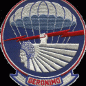 A quel régiment appartient ce patch ?